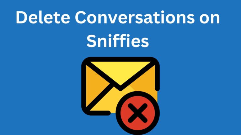 Why Do People Delete Conversations on Sniffies?