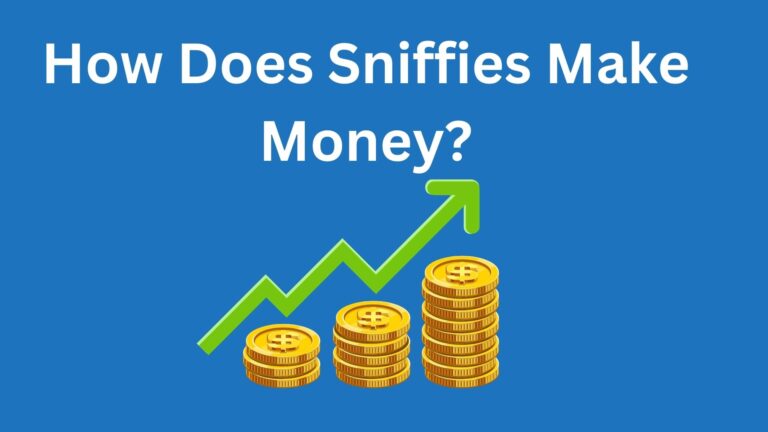 How Does Sniffies Make Money?
