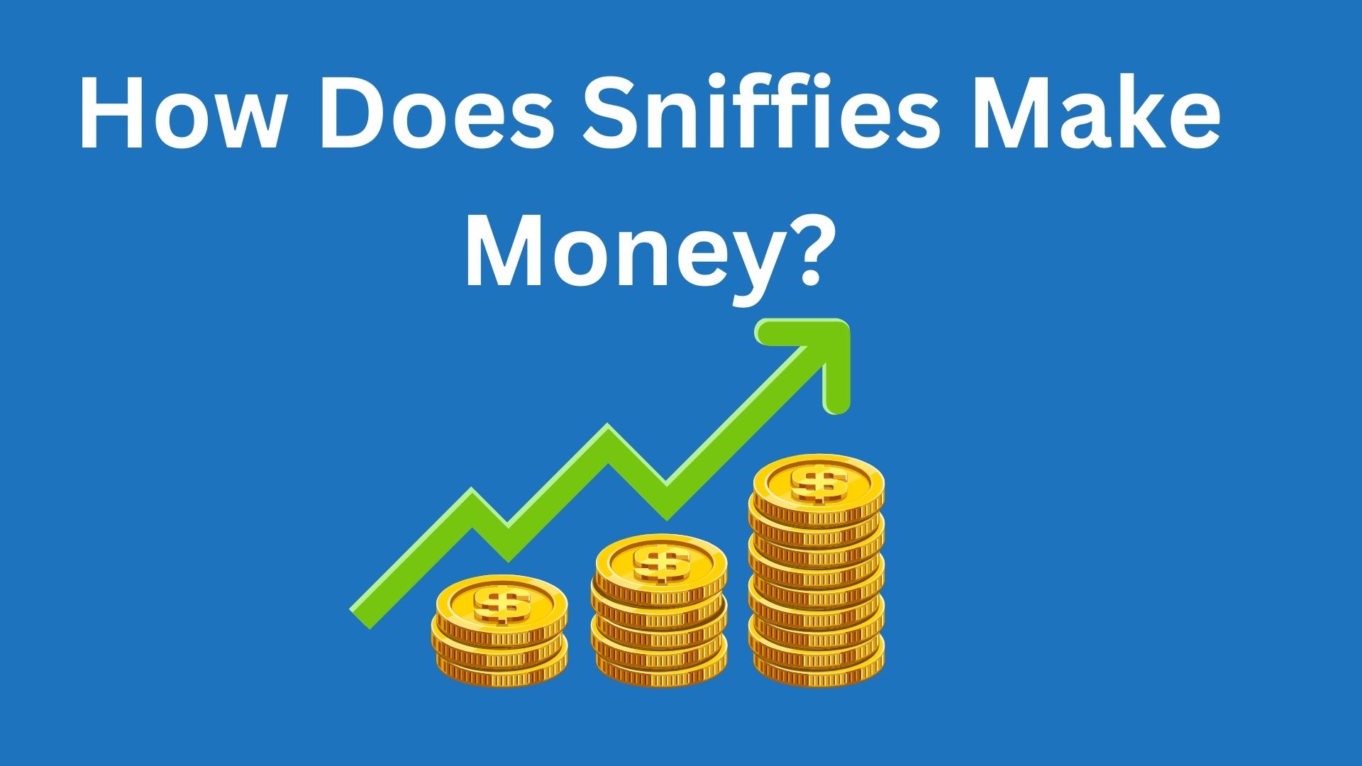 How Does Sniffies Make Money