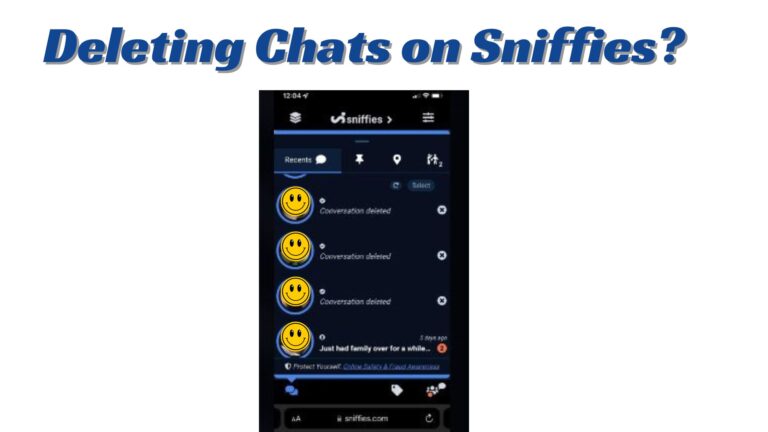 How to Delete Chats on Sniffies?